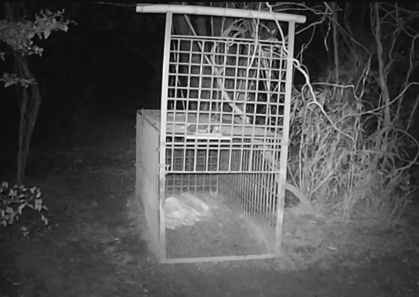 Photo 2025-09-27 4:00