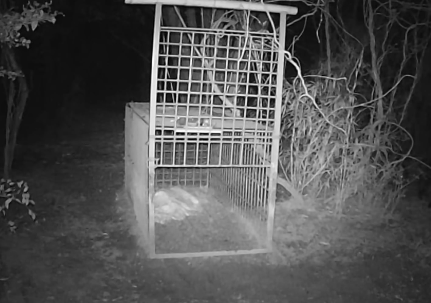 Photo 2025-09-28 4:00