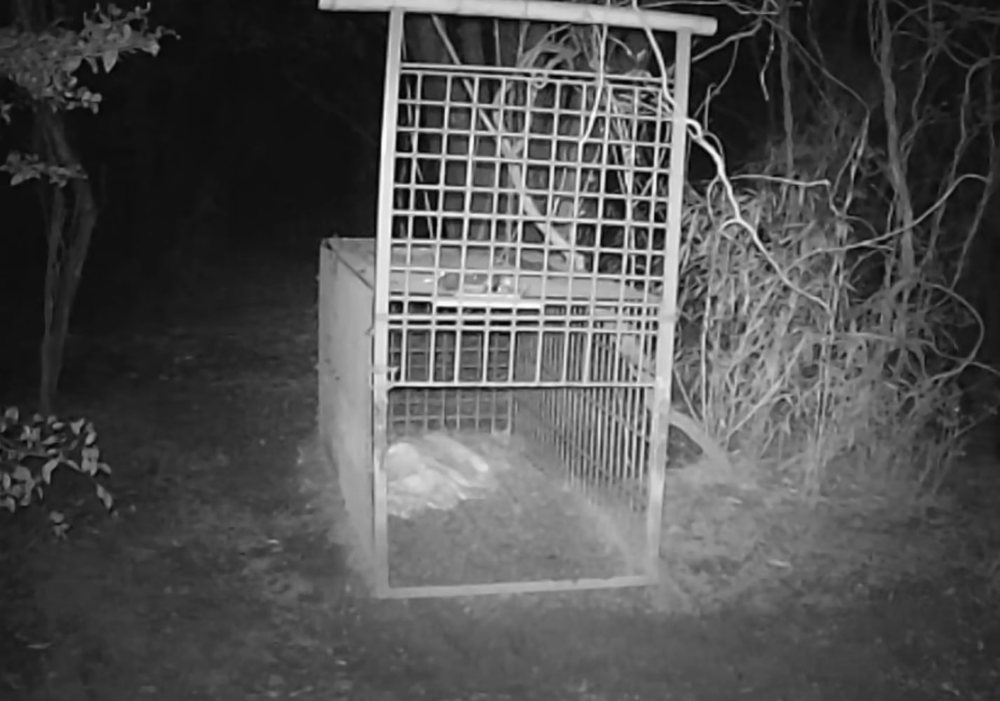 Photo 2025-09-29 4:00