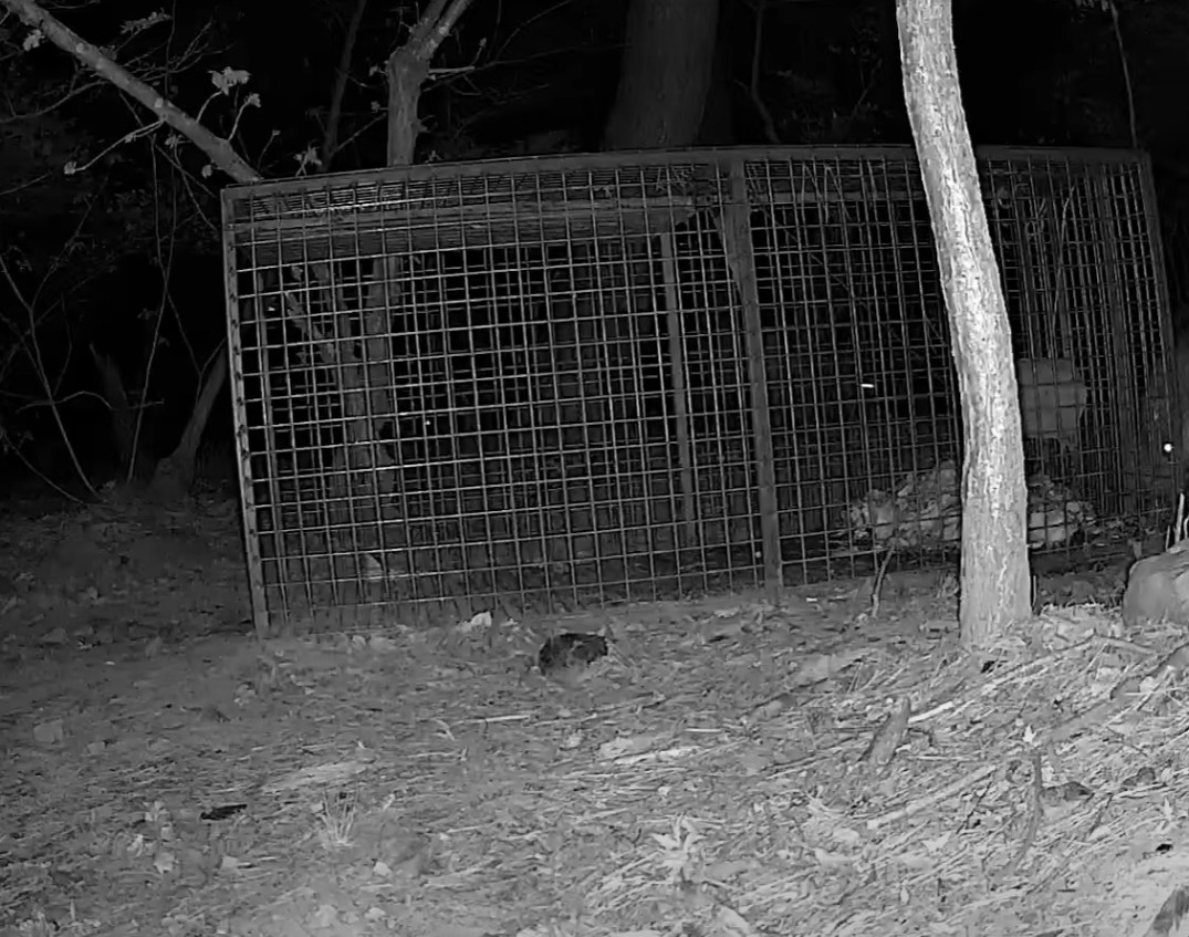 Photo 2025-09-30 4:00