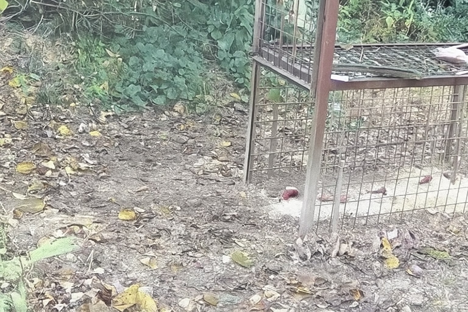 Photo 2025-09-30 4:00