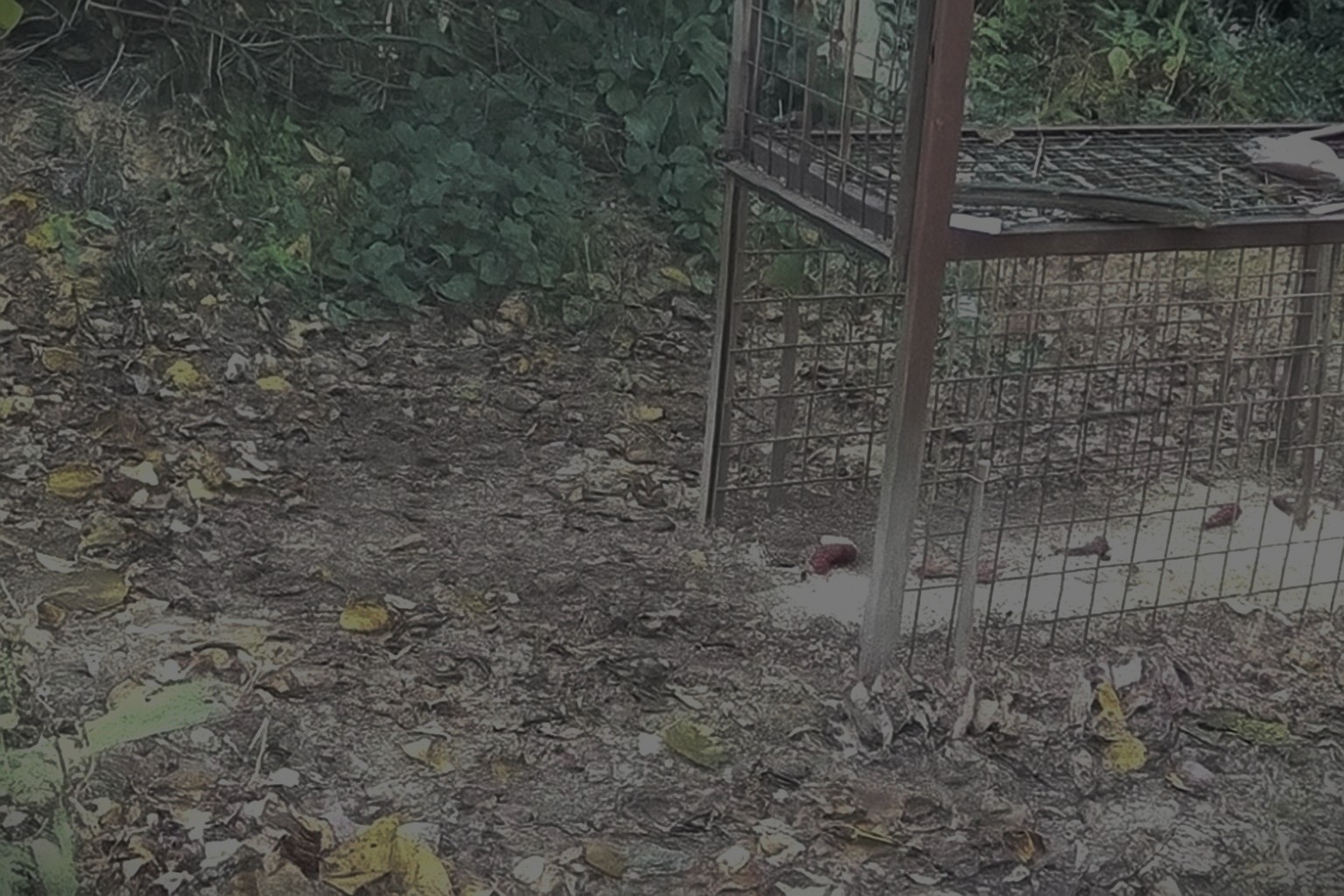 Photo 2025-09-30 4:00