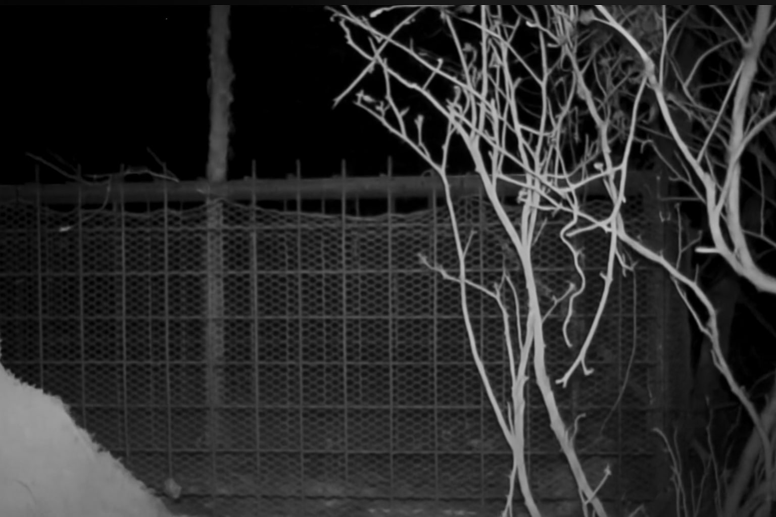 Photo 2025-09-30 4:00