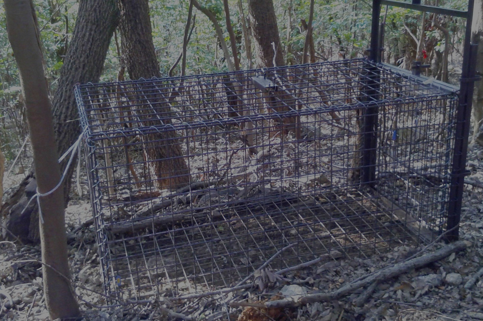 Photo 2025-09-30 4:00