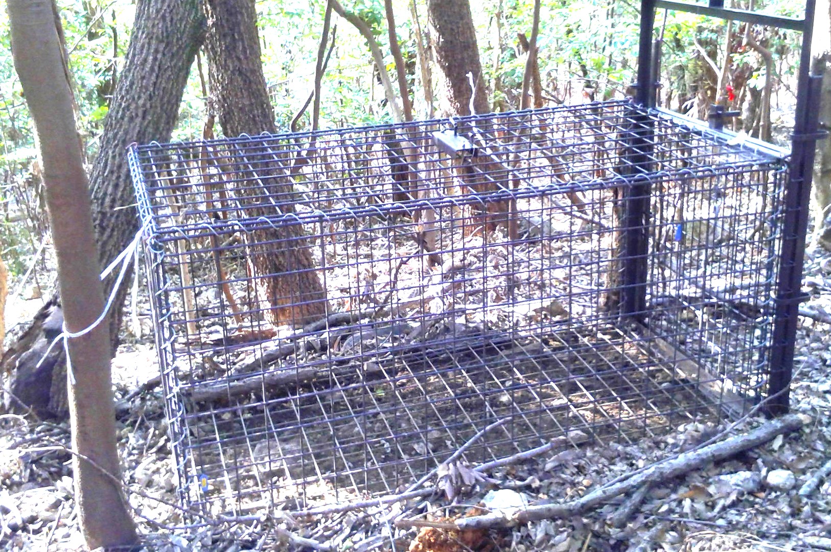 Photo 2025-09-30 4:00