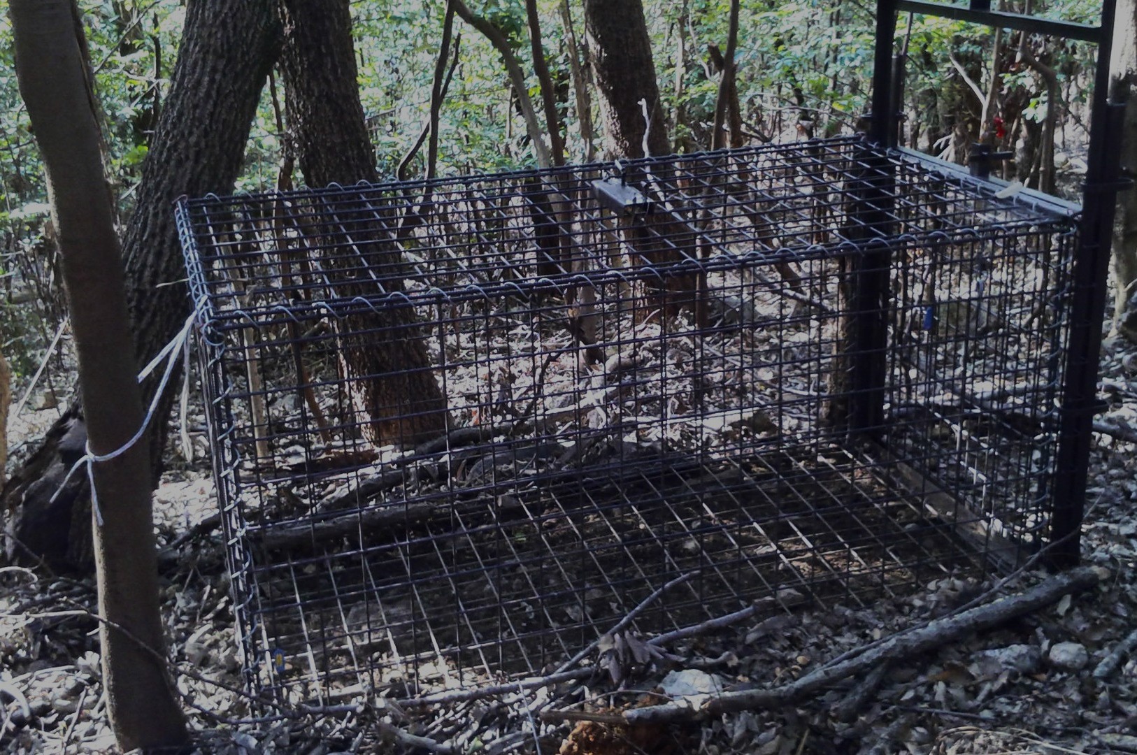 Photo 2025-09-30 4:00