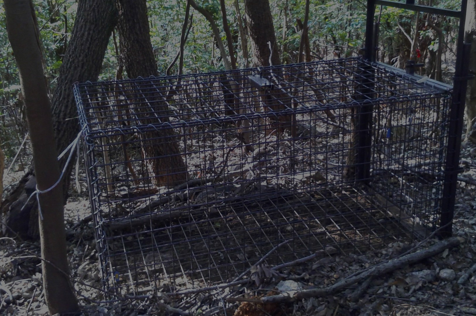 Photo 2025-09-30 4:00