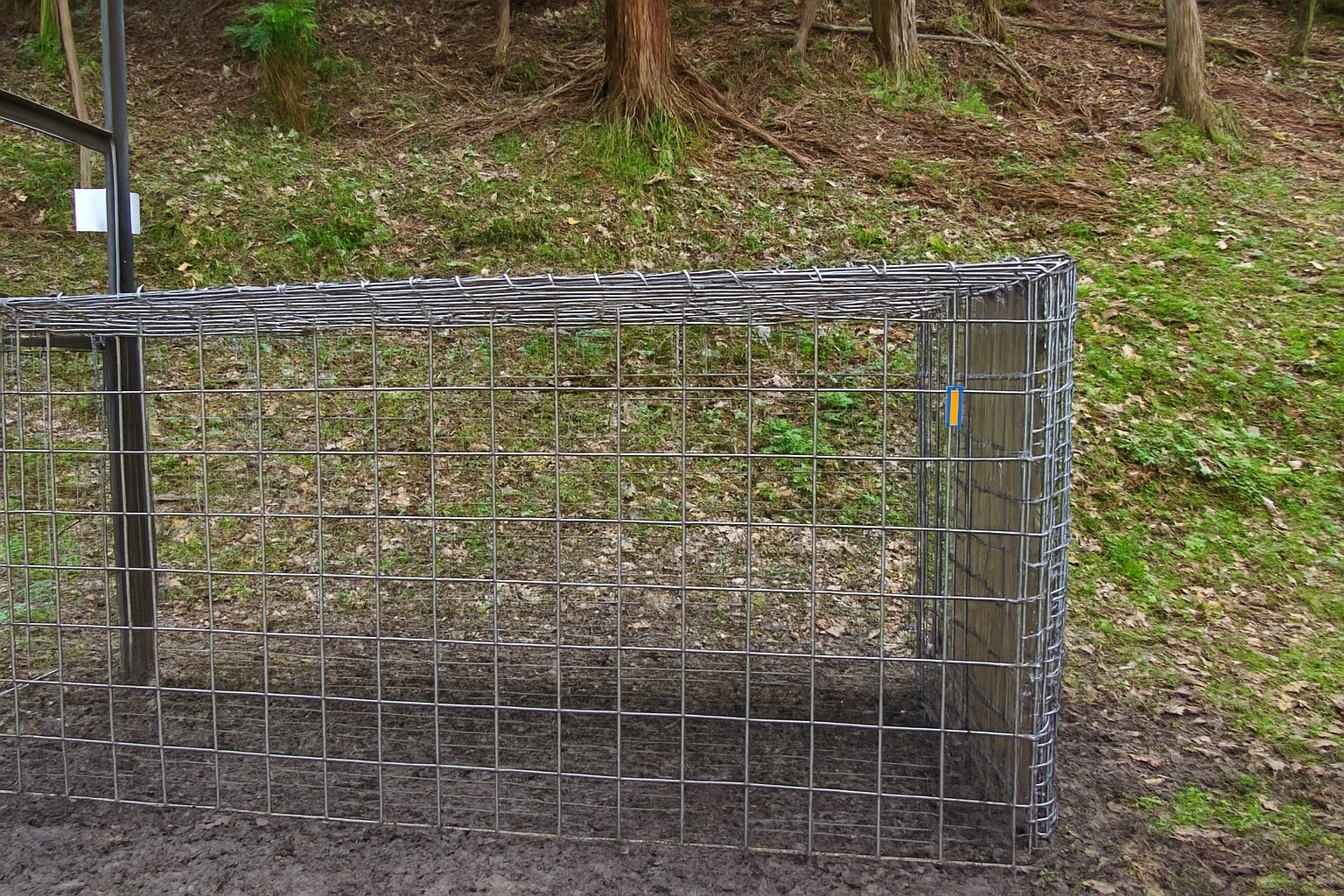 Photo 2025-09-30 4:00