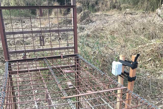 Photo 2025-10-01 4:00