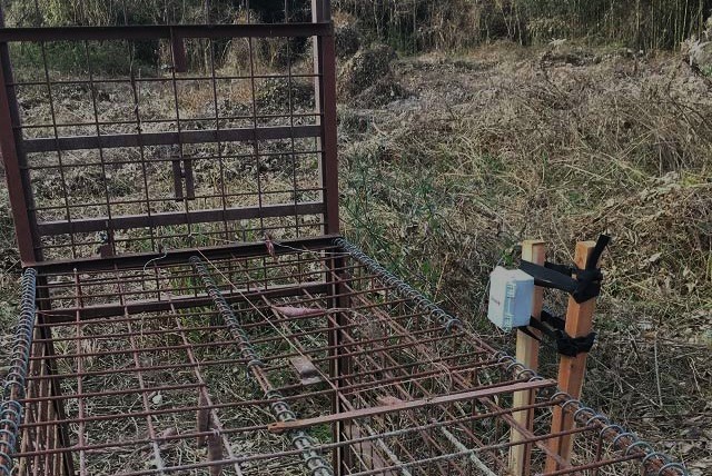 Photo 2025-10-01 4:00